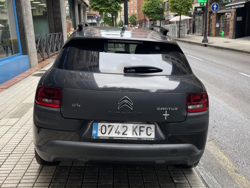 Citroen C4 Cactus 1.6 Hdi Shine 100cv