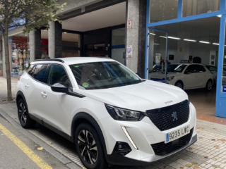 Peugeot 2008 1.5 Hdi Allure 110cv