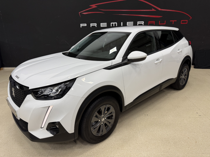 Peugeot 2008 HDI 110cv