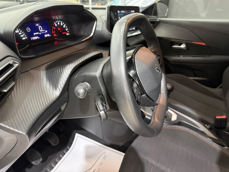 Peugeot 208 Blue Hdi 100cv