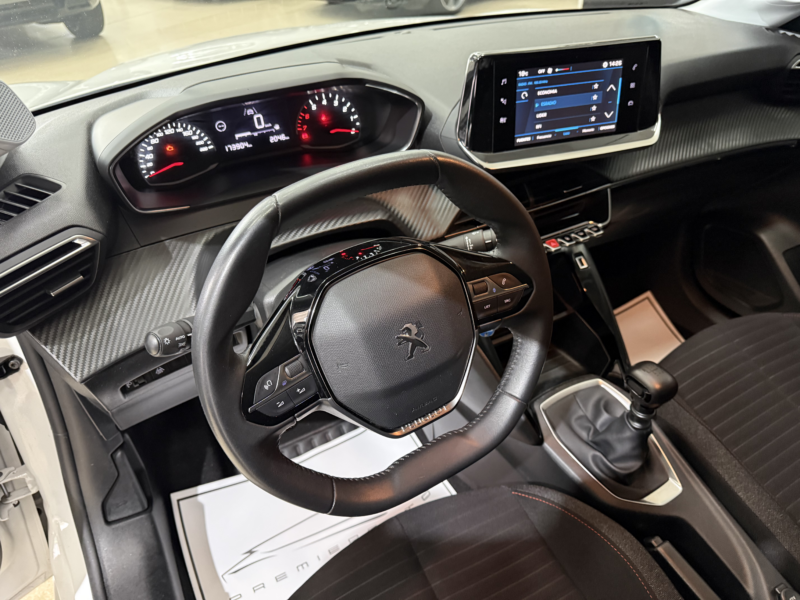 Peugeot 208 Blue Hdi 100cv